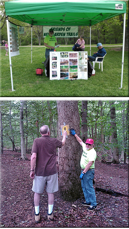 Creek Fest & Trail Directions